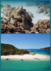 diving-culion-island-hopping