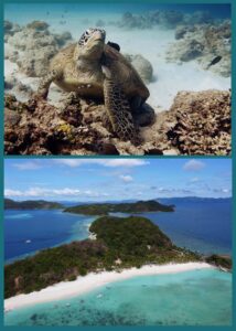 island-hopping-diving-culion