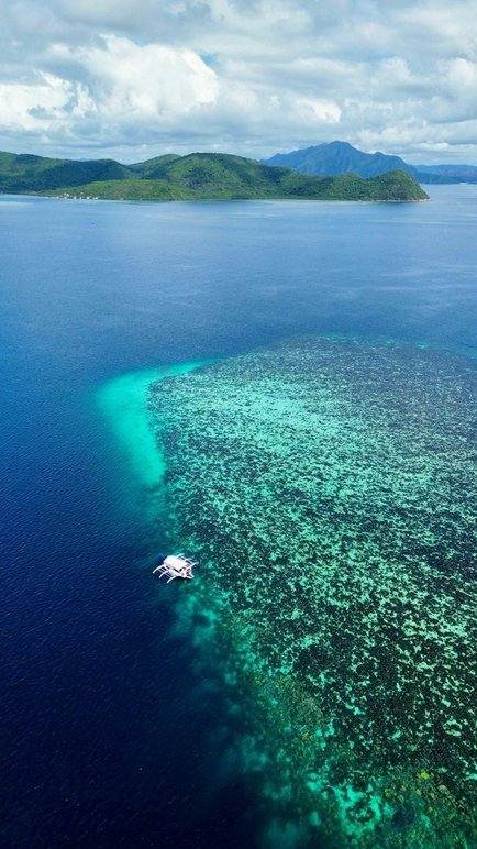 dive-sites_an-aerial-view-of-middle-reef-looking-towards-chin