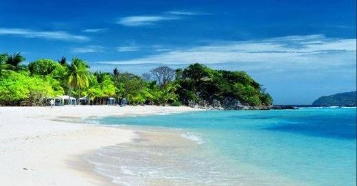 dive-sites_malcapuyas-white-sand-beach-lined-with-palm-trees