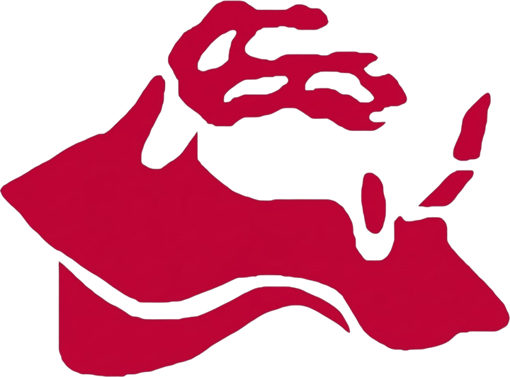 home_nudibranch-logo